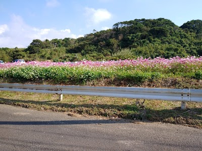種子島家畜市場