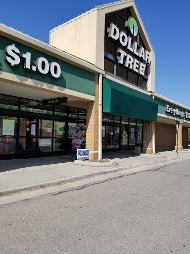 Dollar Store «Dollar Tree», reviews and photos, 13477 Hall Rd, Utica, MI 48315, USA