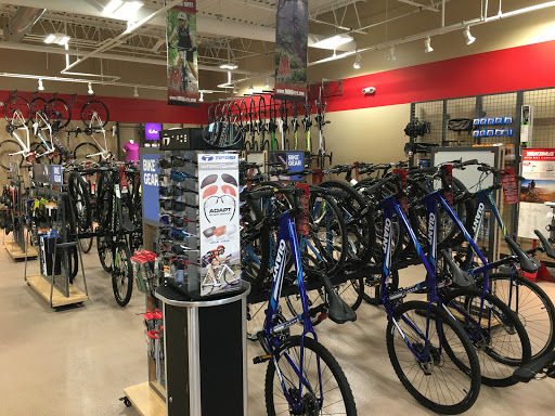 Bicycle Store «M & M Cyclery», reviews and photos, 312 W Half Day Rd, Buffalo Grove, IL 60089, USA