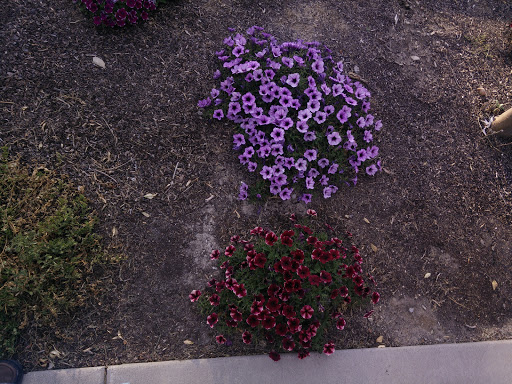 Park «Draper Historical Park», reviews and photos, 12625 900 E, Draper, UT 84020, USA