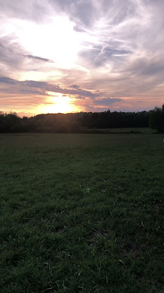Vidéos Vacances à la ferme Nuovo Agriturismo Cargandino 28040 Mezzomerico