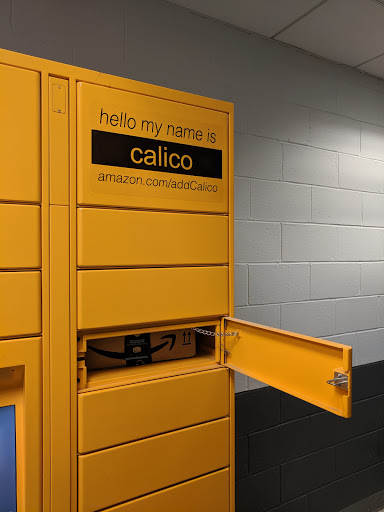 Amazon Hub Locker - Calico