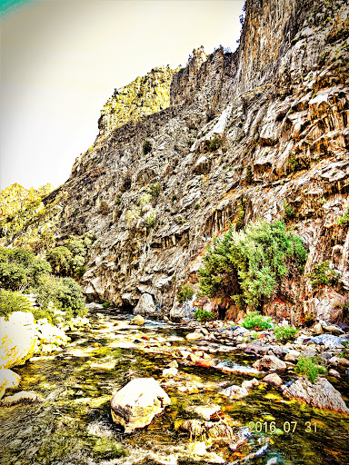 National Park «Kings Canyon National Park», reviews and photos