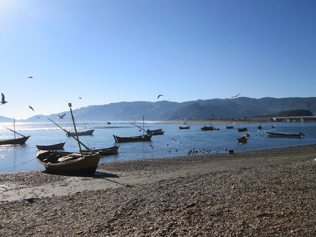 playa missisipi, Mehuin, Mariquina, Los Ríos, Chile