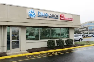 Blue Pearl Pet Hospital image