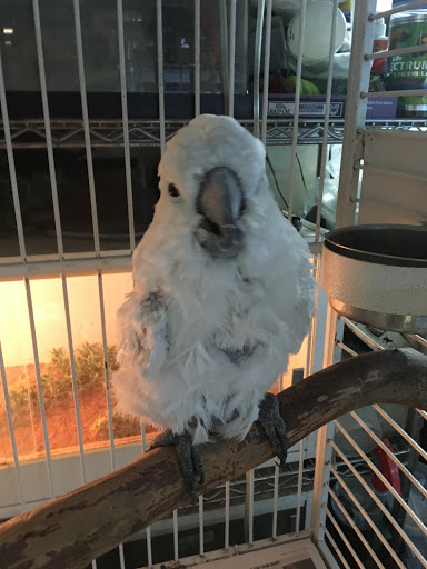 Pet Store «Mike Pet Center LLC», reviews and photos, 133 NJ-35, Neptune City, NJ 07753, USA