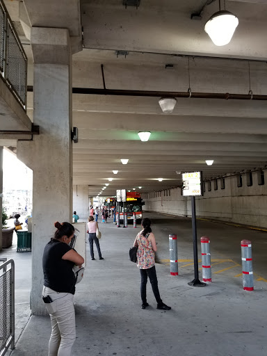 Supermarket «Western Beef Supermarket», reviews and photos, 61 2nd St, Mineola, NY 11501, USA