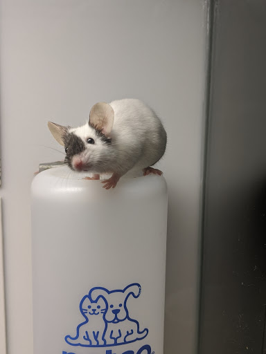 Pet Supply Store «Petco Animal Supplies», reviews and photos, 17132 W Colfax Ave, Golden, CO 80401, USA