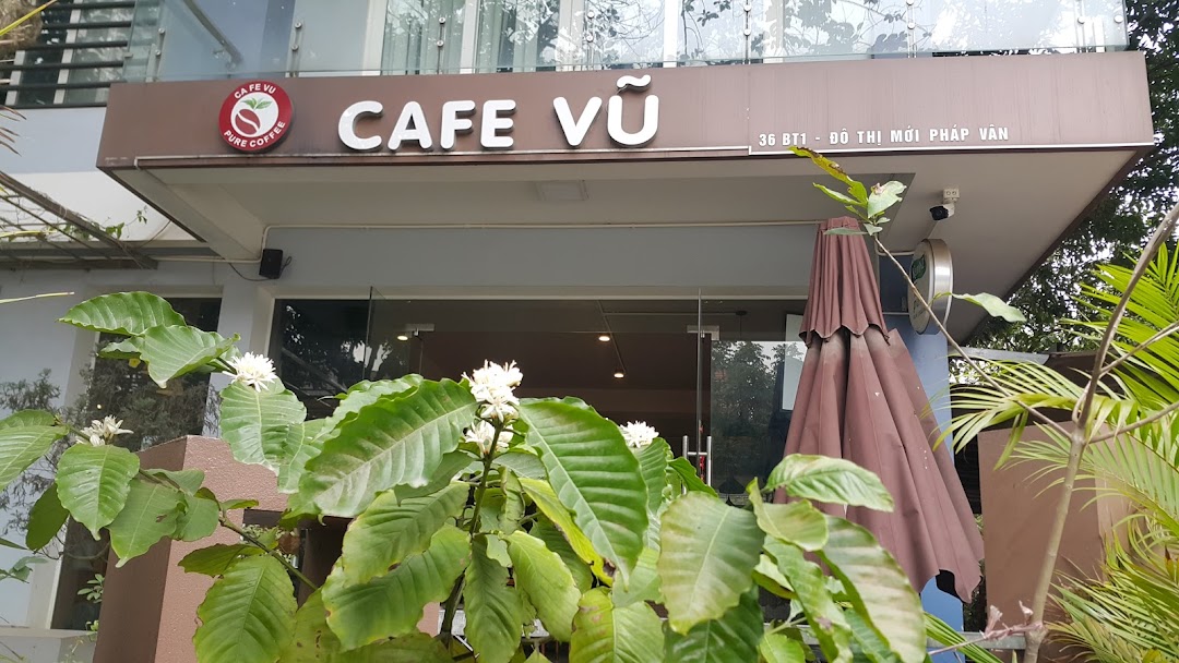 cafe Vu phap van