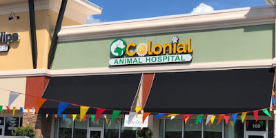 Colonial Animal Hospital