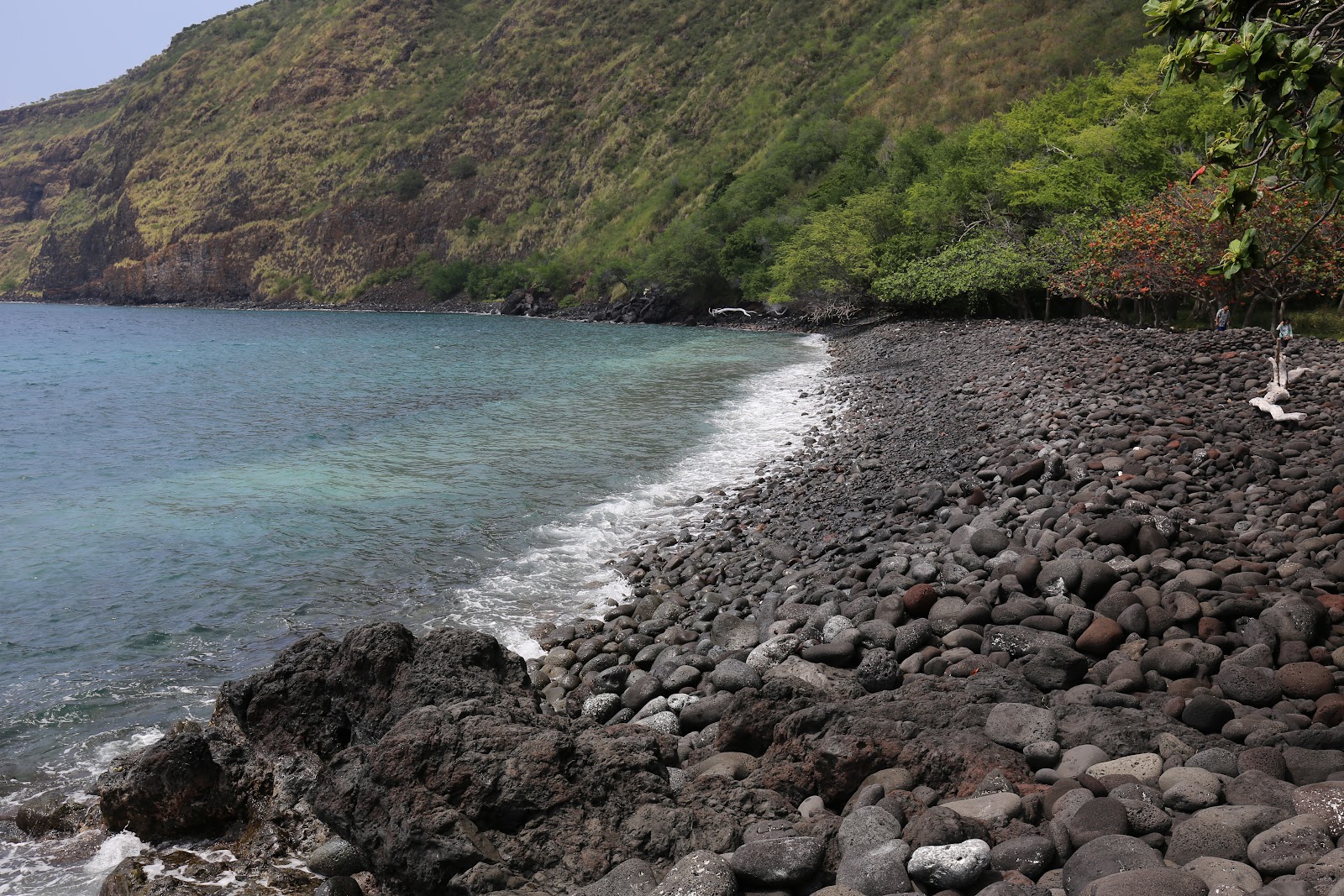 Kealakekua Beach'in fotoğrafı çok temiz temizlik seviyesi ile