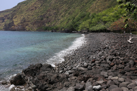 Kealakekua Beach