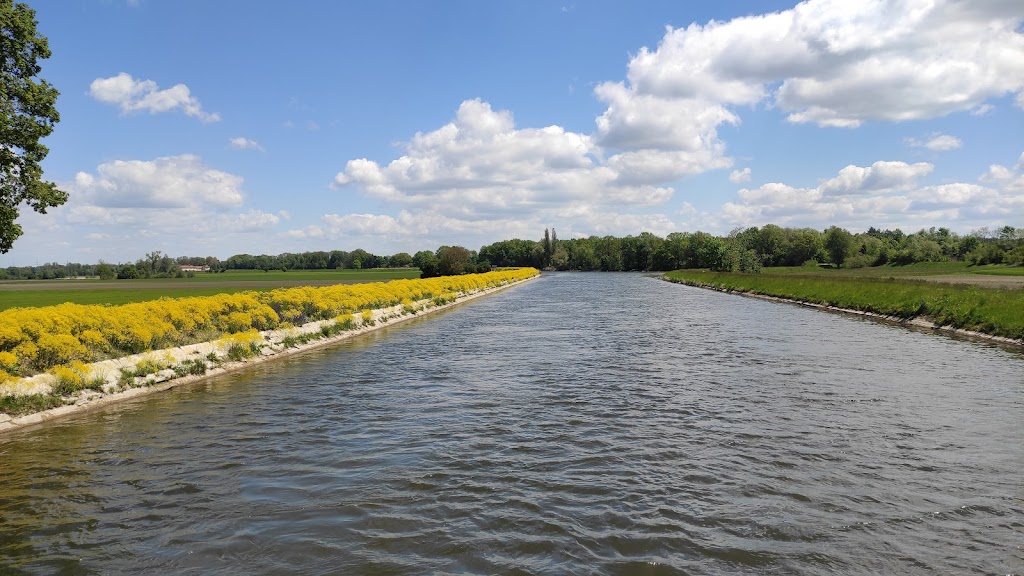 Spfr Dellmensingen 1921 e.V. - Fußball