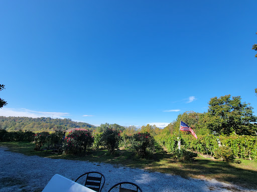 Vineyard «Saint Paul Mountain Vineyards», reviews and photos, 588 Chestnut Gap Rd, Hendersonville, NC 28792, USA