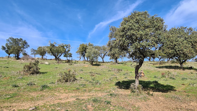 Herdade de Batepé Horário de abertura