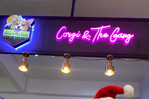 Corgi & The Gang Pet Cafe image