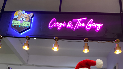 Corgi & The Gang Pet Cafe