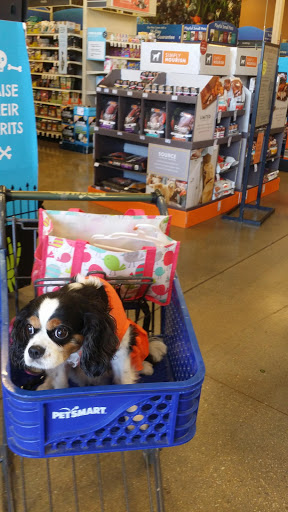 Pet Supply Store «PetSmart», reviews and photos, 4794 Jimmy Lee Smith Pkwy #108, Hiram, GA 30141, USA