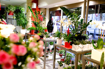 Chataigner Fleurs à Angers