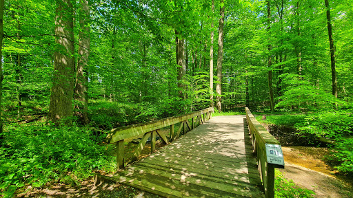 Park «Rockburn Branch Park», reviews and photos, 6105 Rockburn Branch Park Rd, Elkridge, MD 21075, USA