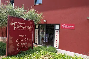 Wine And Souvenir Shop "Terraneo" image