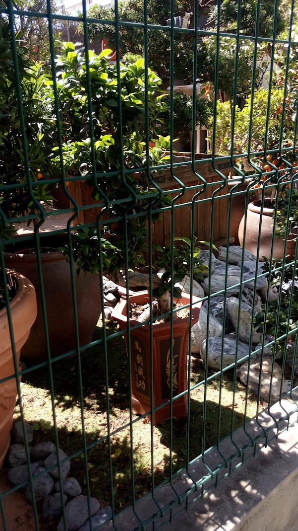 Conillas Garden Center