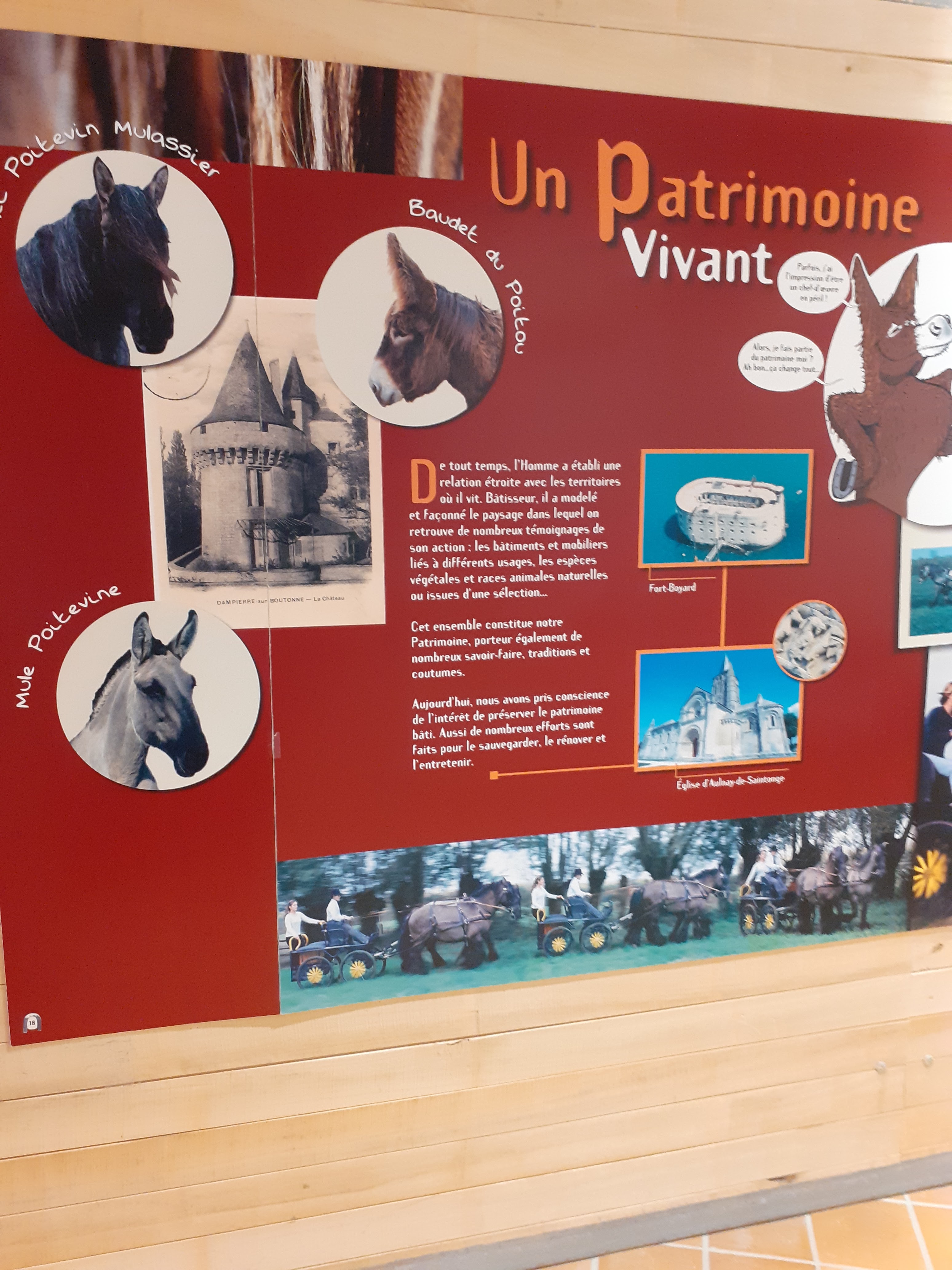 Photo n° 3 de l'avis de Laurence.o fait le 11/07/2022 à 10:17