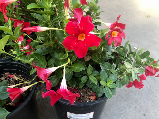 Home Improvement Store «The Home Depot», reviews and photos, 575 Cochran St, Simi Valley, CA 93065, USA