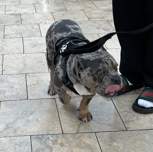 Computer Store «Apple Biltmore», reviews and photos, 2502 E Camelback Rd, Phoenix, AZ 85016, USA