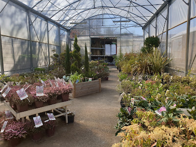 Jardinerie briat (France Rurale) à Saint-Chamond