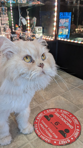 Tobacco Shop «Hodas Tobacco», reviews and photos, 663 Elm Rd NE, Warren, OH 44483, USA