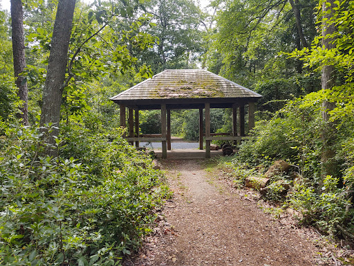 State Park «Parvin State Park», reviews and photos, 701 Almond Rd, Pittsgrove Township, NJ 08318, USA