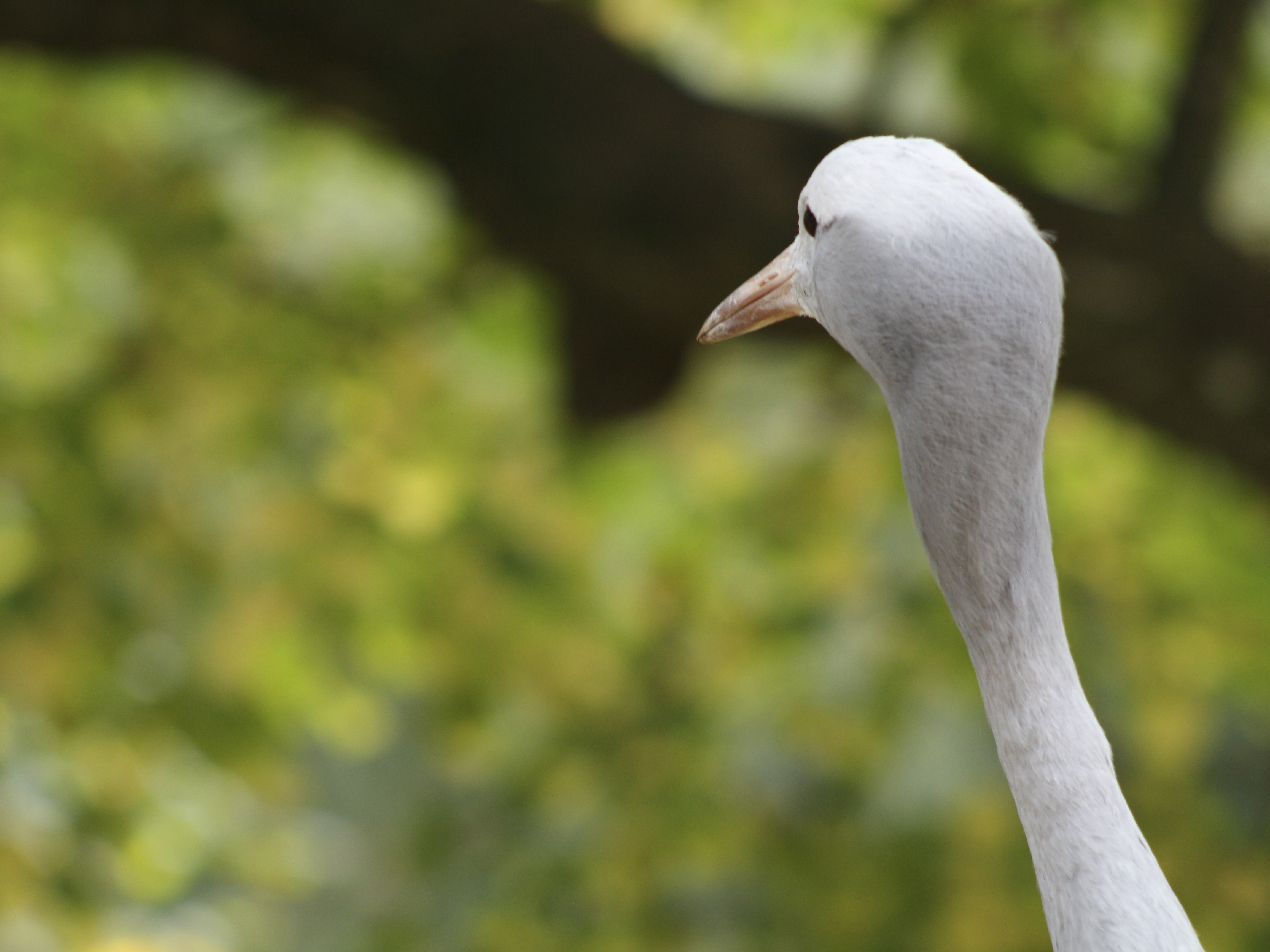 Photo n° 25 de l'avis de Laurent. fait le 05/08/2022 à 12:06