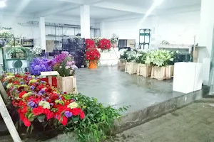 Lassana Flora (Pvt) Ltd. - Warehouse image