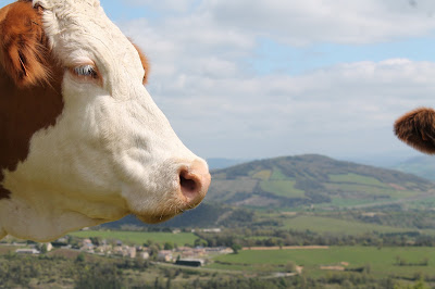 La Ferme du Teil à Saint-Germain-du-Teil