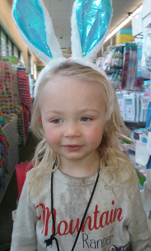 Dollar Store «Dollar Tree», reviews and photos, 1121 Old County Rd, San Carlos, CA 94070, USA