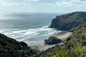 Anawhata Beach image