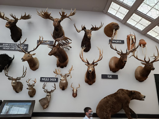 Sporting Goods Store «Bass Pro Shops», reviews and photos, 1935 S Campbell Ave, Springfield, MO 65807, USA