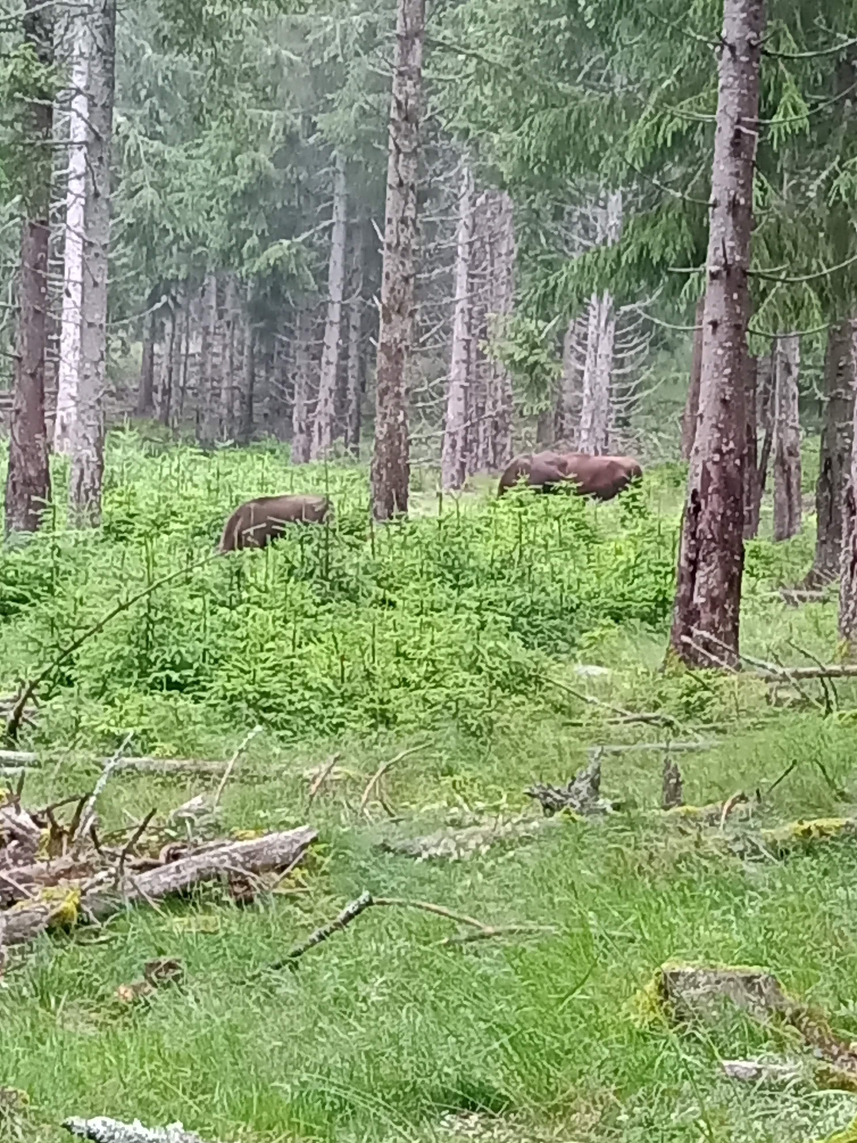 Photo n° 17 de l'avis de Marj.a fait le 18/07/2021 à 21:04