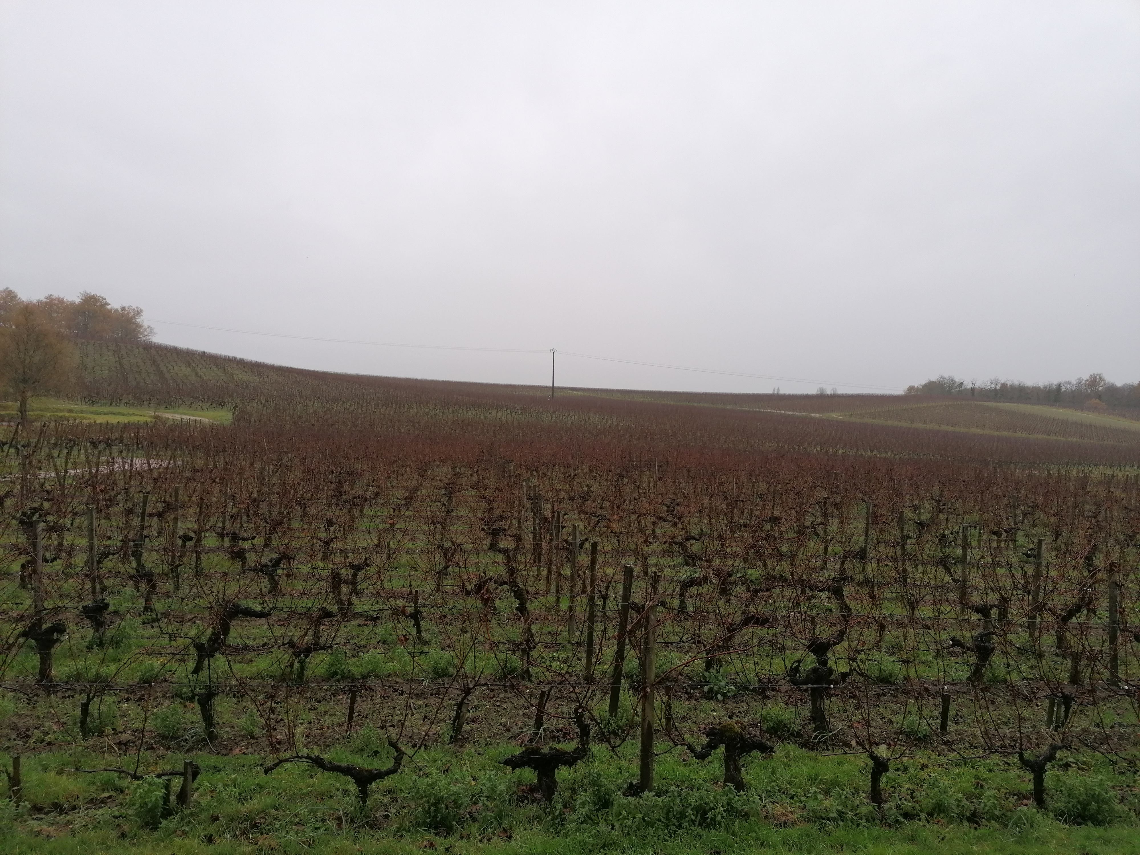Photo n° 2 de l'avis de marco.a fait le 07/12/2021 à 19:06