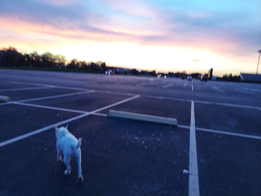 Stadium «Abshier Stadium», reviews and photos, 710 W San Augustine St, Deer Park, TX 77536, USA