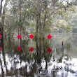 High Springs Boat Ramp