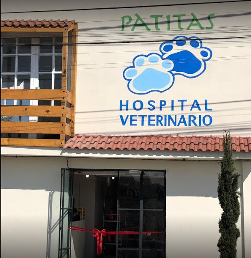 HOSPITAL VETERINARIO PATITAS EMERGENCIAS 24 HRS