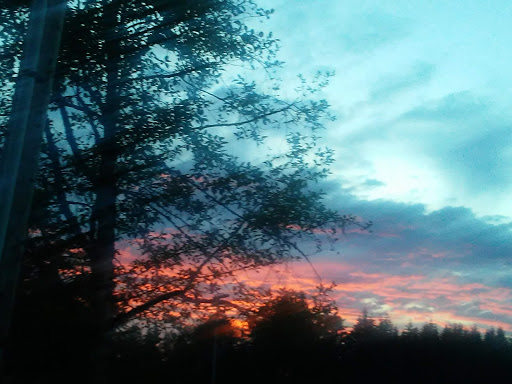 Grocery Store «Safeway», reviews and photos, 37601 US-26, Sandy, OR 97055, USA