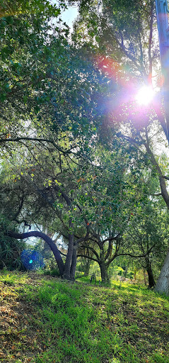 Park «Crown Valley Park / Laguna Niguel Parks & Recreation», reviews and photos, 29751 Crown Valley Pkwy, Laguna Niguel, CA 92677, USA