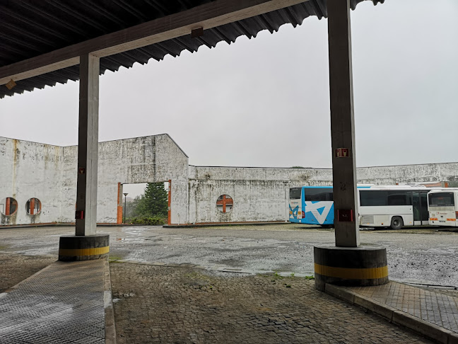 Avaliações doCentro Cordenador de Transportes em Albergaria-a-Velha - Serviço de transporte