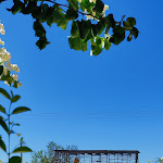 Photo n°8 de l'avis de cynthia.e fait le 30/07/2022 à 18:33 sur le  Conversas de Alpendre à Vila Real de Santo António