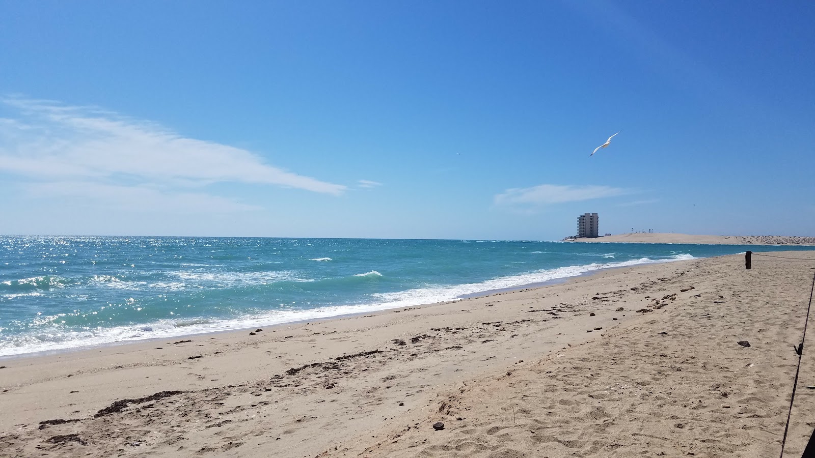 Foto di La Jolla Beach con una superficie del sabbia beige