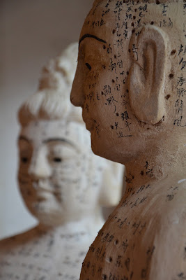 Acupuncture Médecine Traditionnelle Chinoise à Crolles