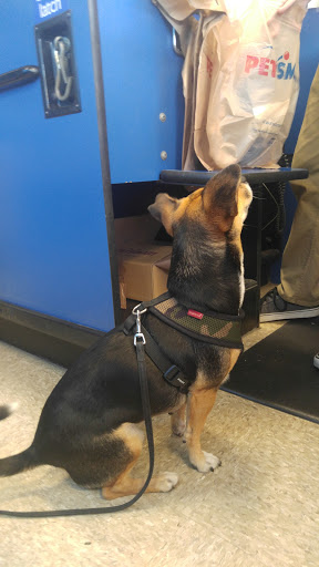 Pet Supply Store «PetSmart», reviews and photos, 2391 NJ-66, Ocean Township, NJ 07712, USA